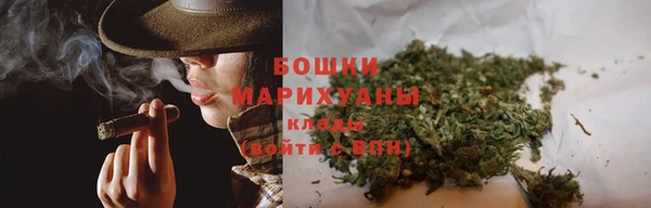 дурь Богданович
