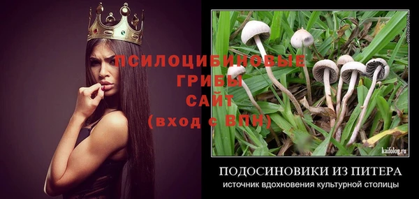МДПВ Богородицк