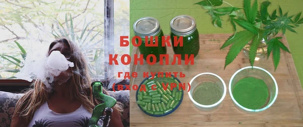 дурь Богданович