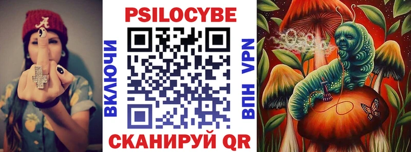 хочу наркоту  Тверь  Галлюциногенные грибы прущие грибы 